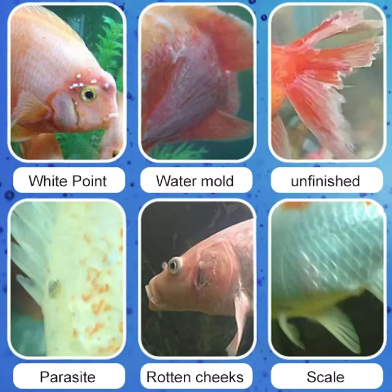 SIKEZHAN Fish Disease Treatmen - Water Soluble Stabilizer review and price