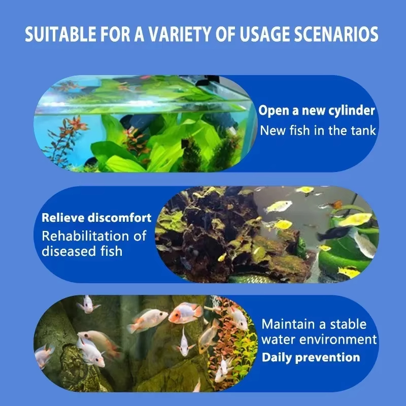 SIKEZHAN Fish Disease Treatmen - Water Soluble Stabilizer review and price